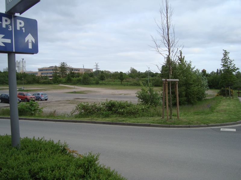 Parkflächen und Ausgleichsflächen hinter der Weser-Ems-Halle