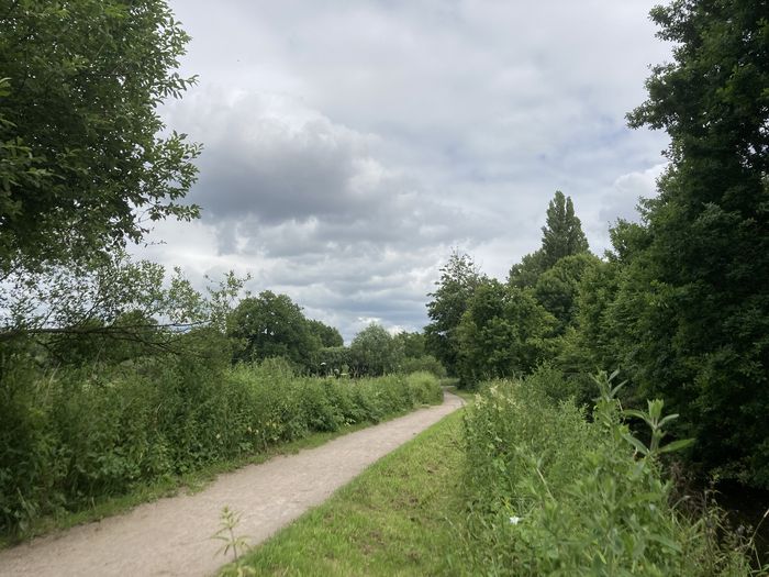 Weg an der Haaren nach Osten von Brücke am Quellenweg kommend, rechts die Haaren